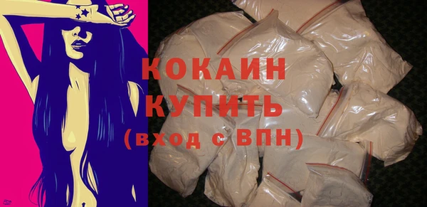 гидра Абаза