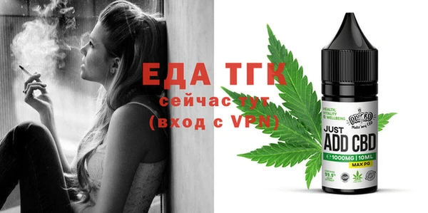 гидра Абаза