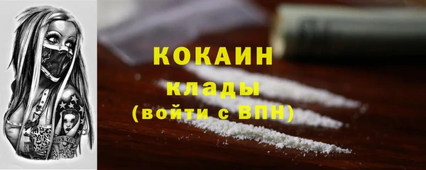 гидра Абаза