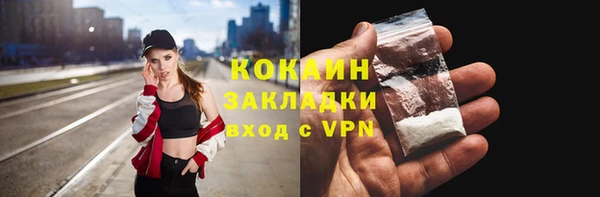 гидра Абаза