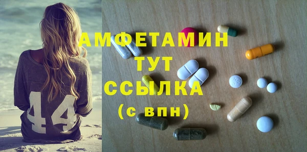 гидра Абаза