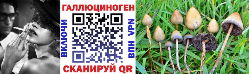 Псилоцибиновые грибы прущие грибы  хочу   OMG tor  Брюховецкая 